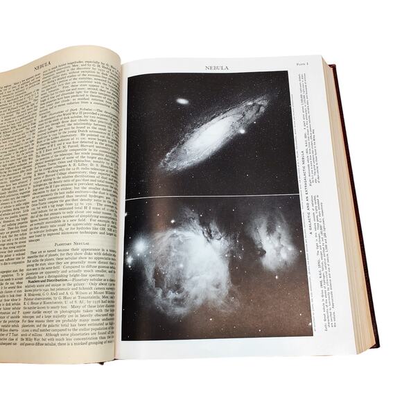 1959 Edition Encyclopedia Britannica Vtg HC Volume 16 MUSHR to OZON Education - Picture 11 of 16